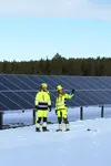 Damebukse med stretch