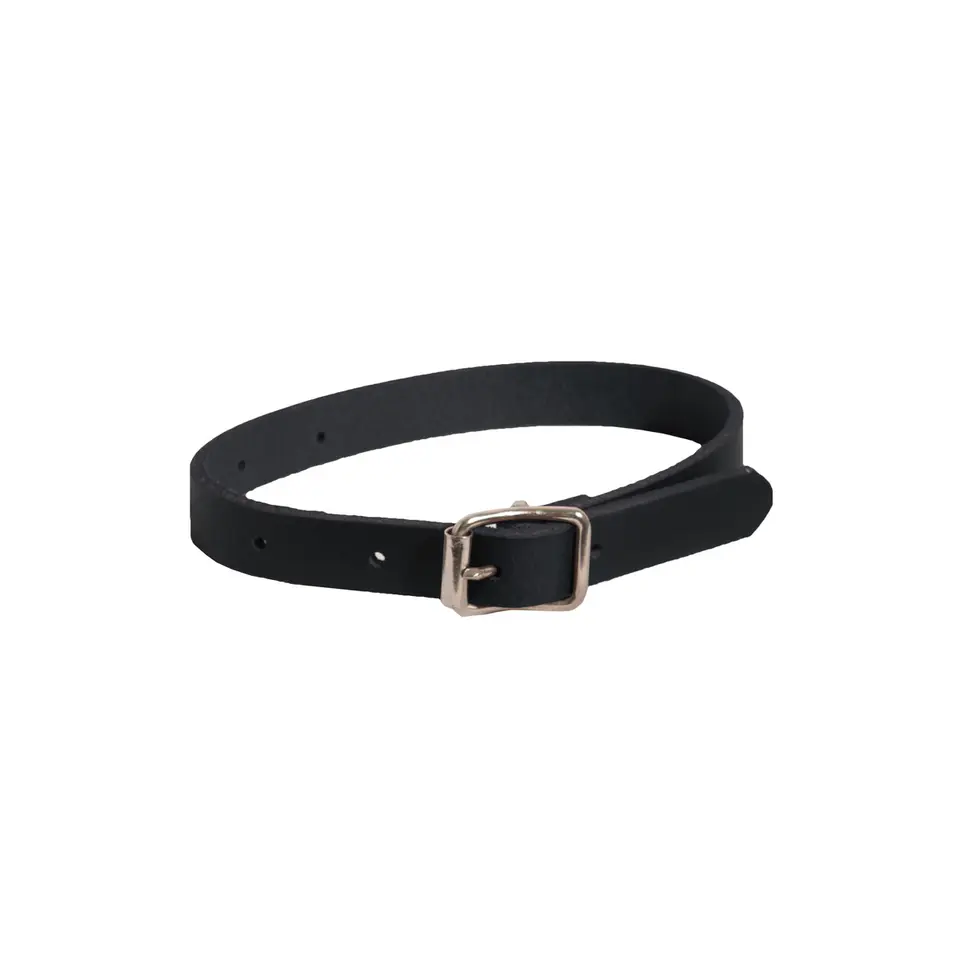 Ankle Strap